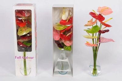 顏值與內(nèi)涵并存——GET這份“崇明版”新年伴手禮清單，讓禮品花卉傳遞新春祝福